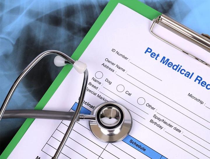 Pet Portal A Country Veterinary Clinic