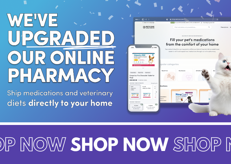 Carousel Slide 2: Shop Online Pharmacy >