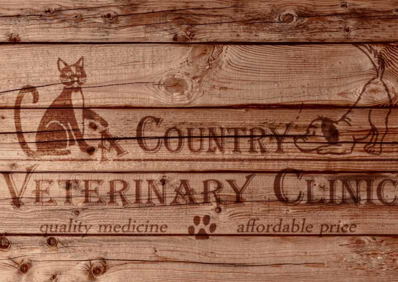 Carousel Slide 1: A Country Veterinary Clinic